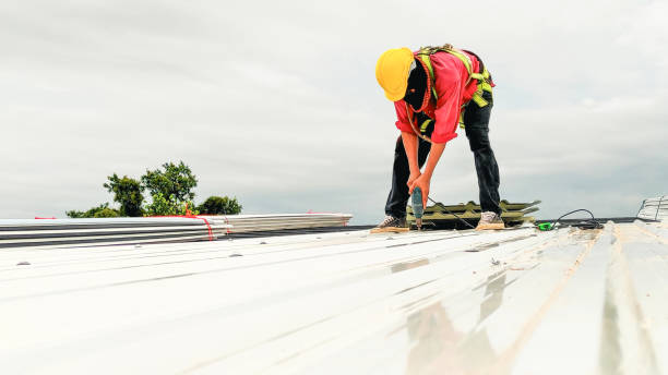 Best Asphalt Shingles Roofing  in Grant, AL