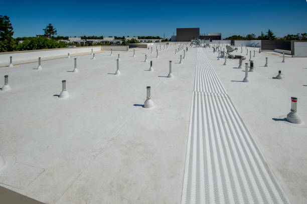 Best Asphalt Shingle Roofing  in Grant, AL